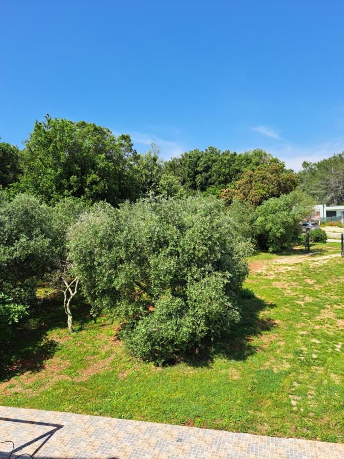 Villa Eucaliptus Istrien Rovinj Kültér fotó