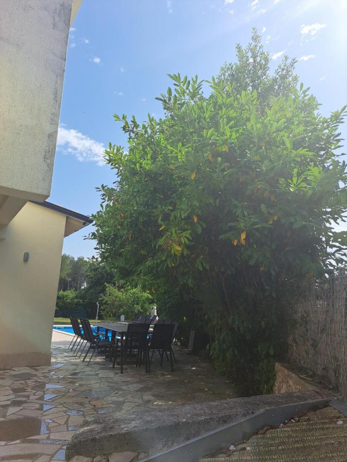 Villa Eucaliptus Istrien Rovinj Kültér fotó